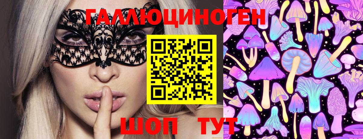 Псилоцибиновые грибы Psilocybine cubensis Кыштым
